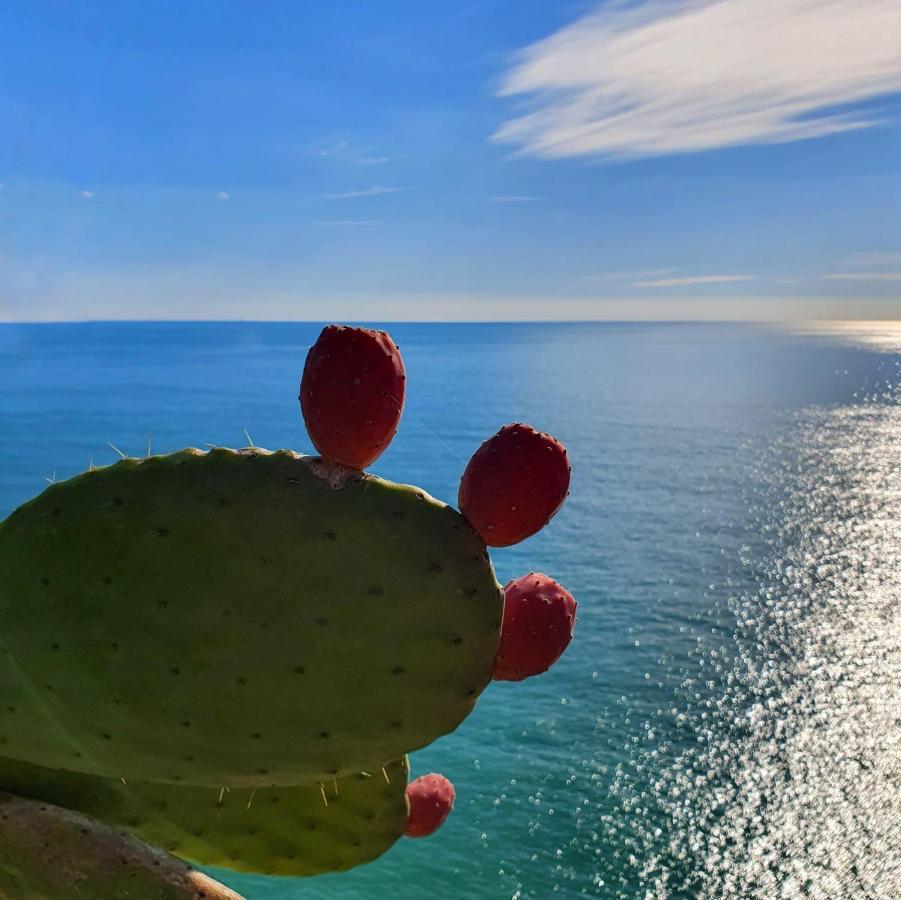 Apartamento La Terrazza Sul Blu Corniglia Exterior foto