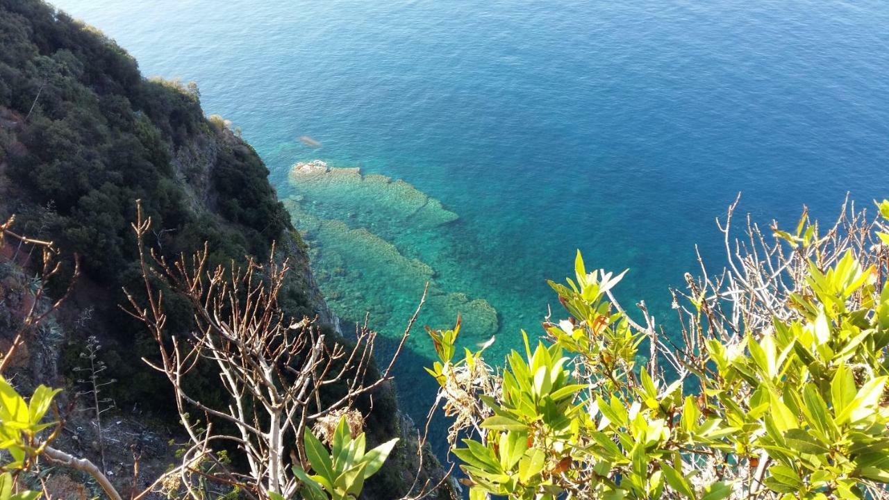 Apartamento La Terrazza Sul Blu Corniglia Exterior foto
